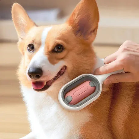 Tierhaarbürste für Möbel, Kleidung & Fellpflege – 2-in-1 Silikonbürste für Hunde & Katzen