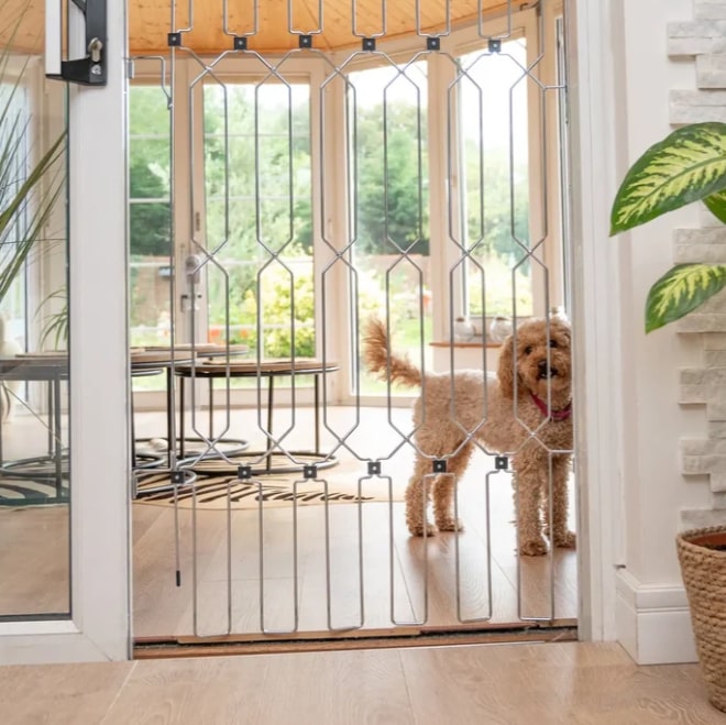 Hundegitter für Wohnung | Hundeschutzgitter Tür | Für Große & Kleine Hunde | TierTor