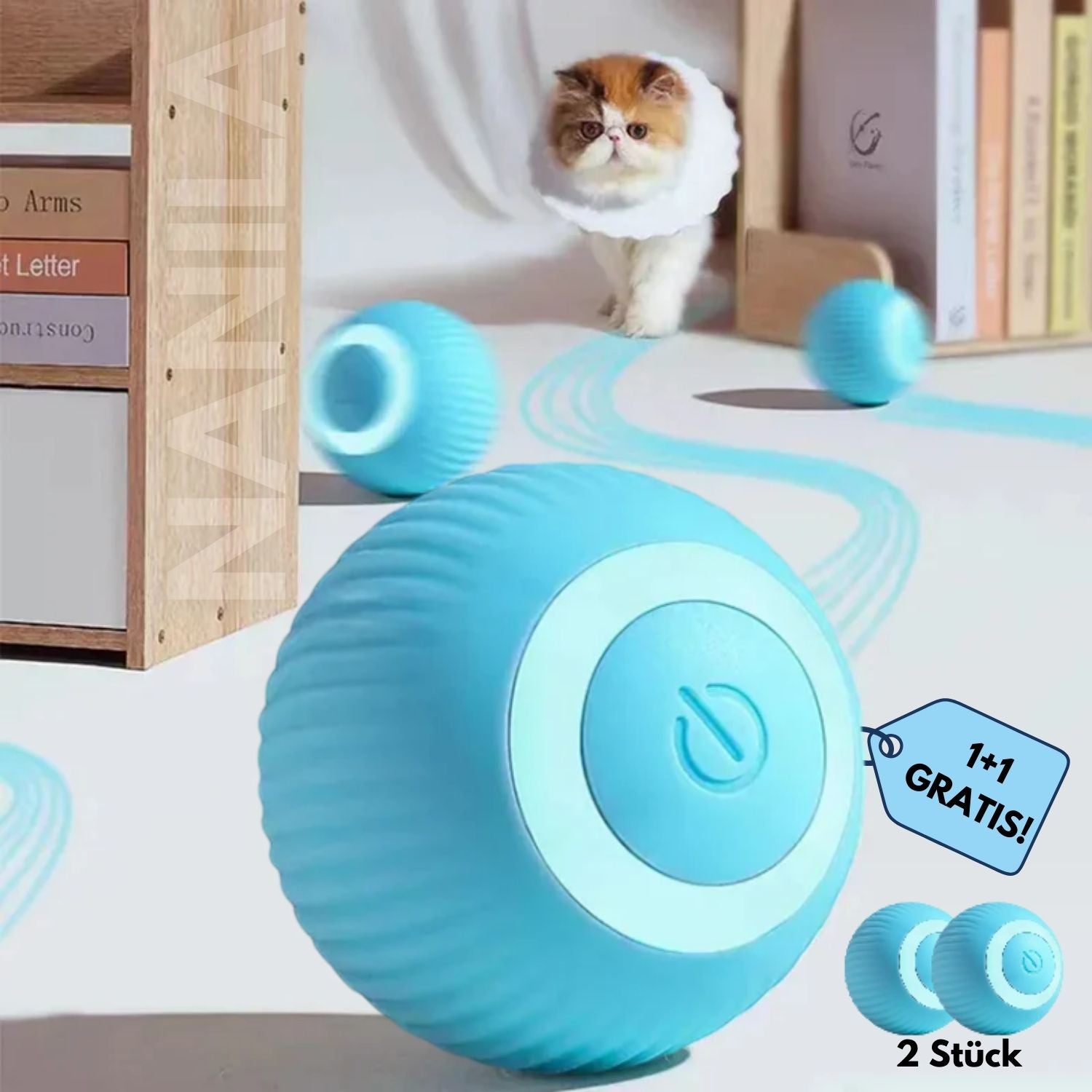 Zelara - Halte deine Katze im Haus glücklich und gesund