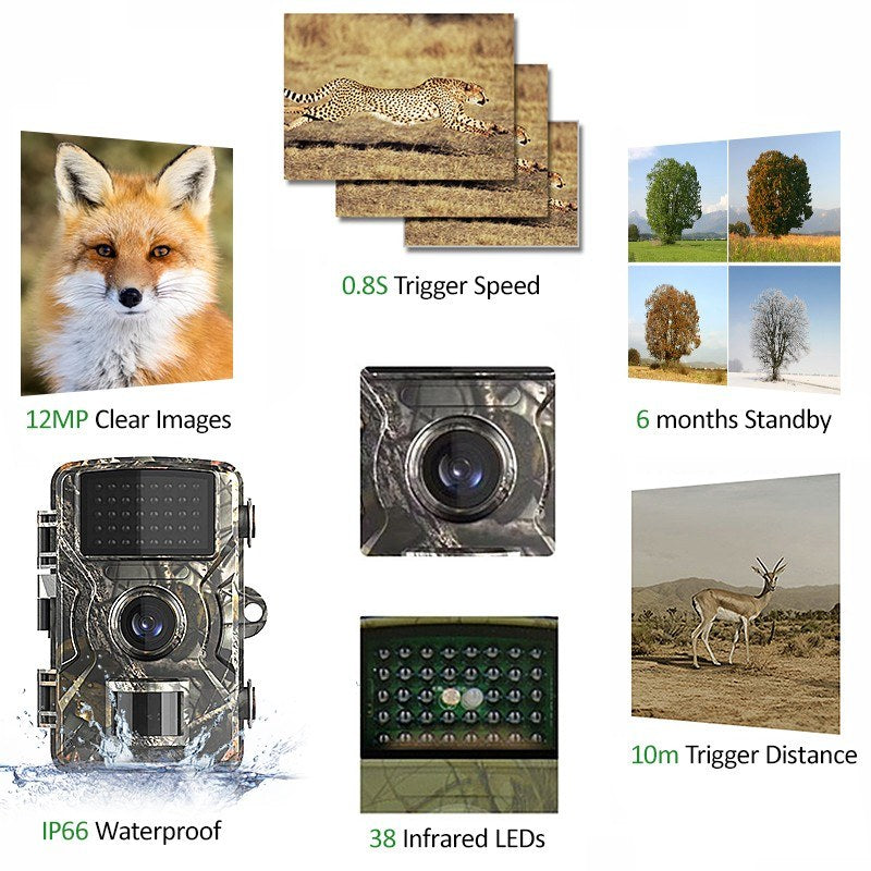 12MP 1080P Wildtier Trail & Spiel Kamera