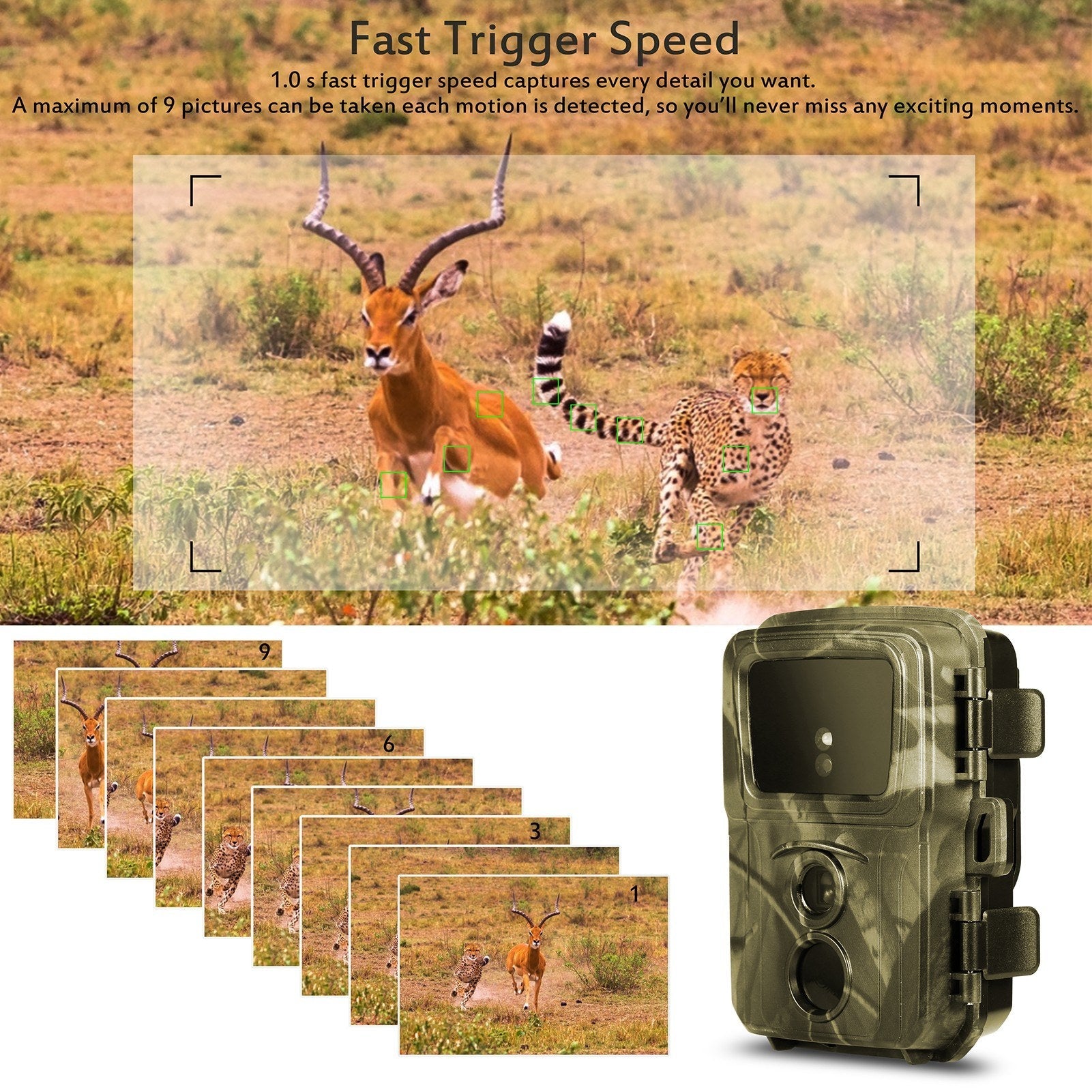 16MP 1080P Mini Trail Kamera für Jagd & Outdoor Tierbeobachtung