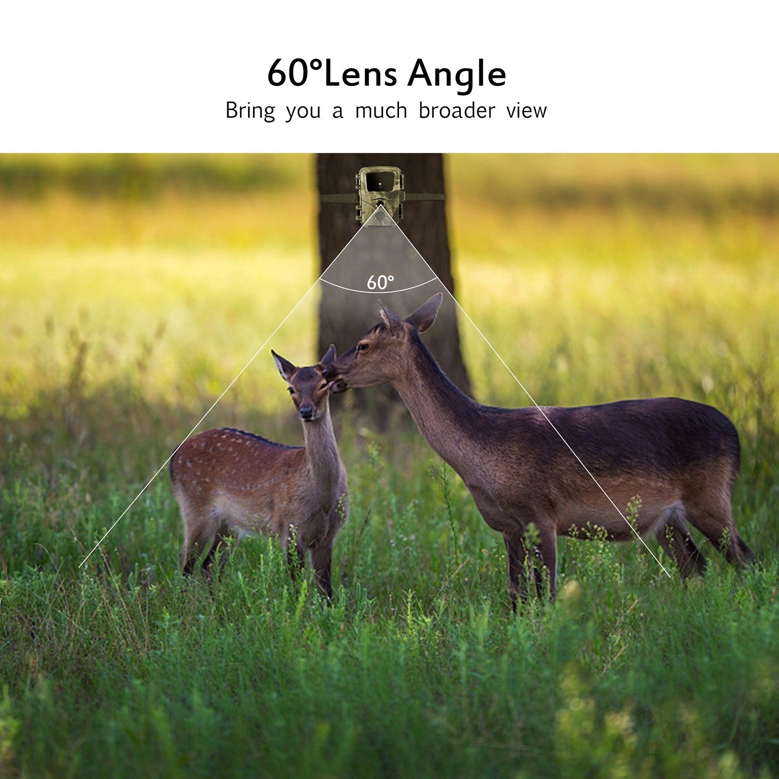 16MP 1080P Mini Trail Kamera für Jagd & Outdoor Tierbeobachtung