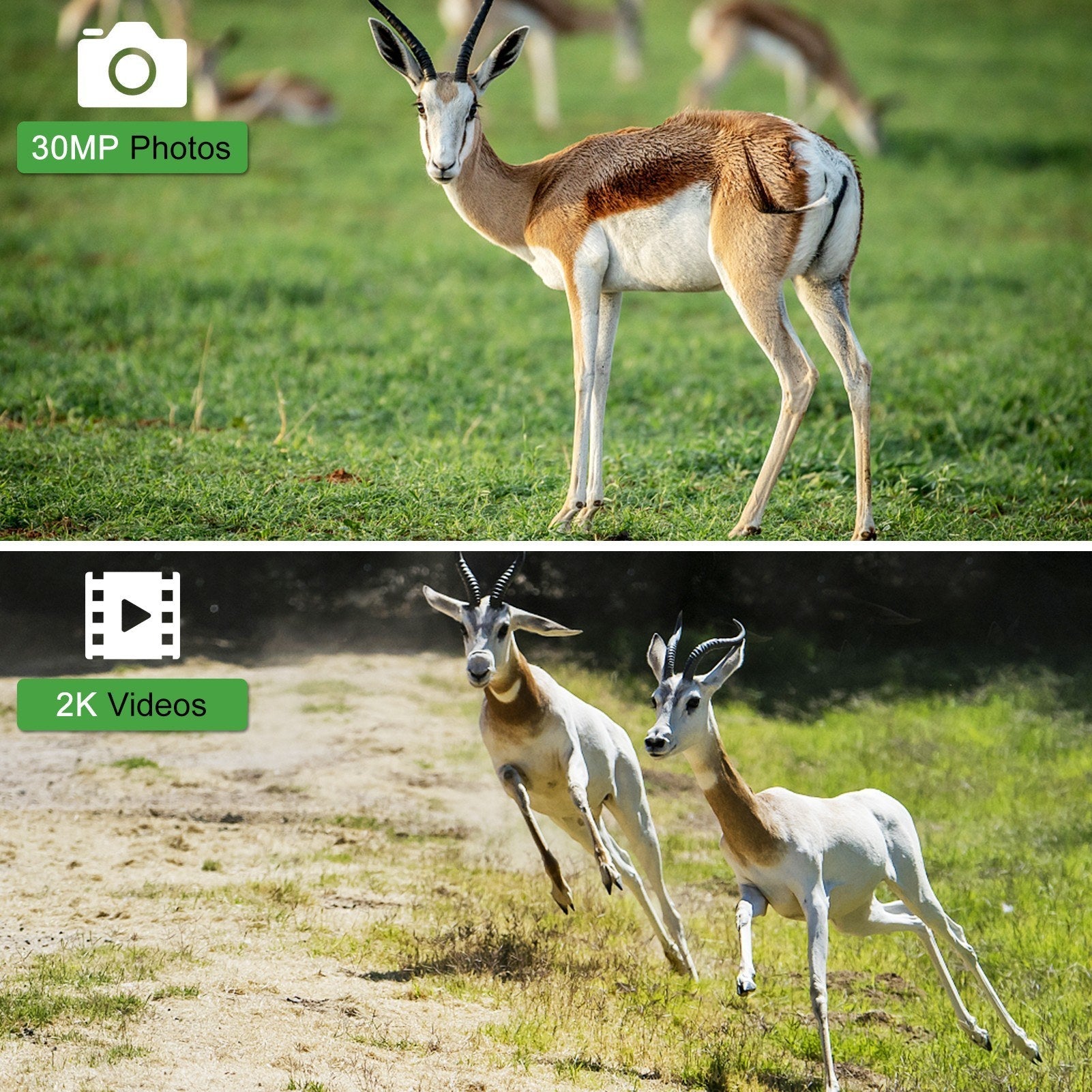 30MP 4G LTE Drahtlose Jagdkamera, 2.4 Farbdisplay, Infrarot-Nachtsicht, Outdoor-Wildtier- & Landwirtschaftssicherheit