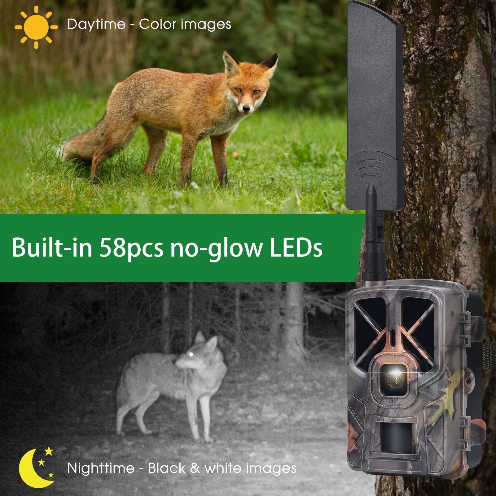 30MP 4G LTE Drahtlose Jagdkamera, 2.4 Farbdisplay, Infrarot-Nachtsicht, Outdoor-Wildtier- & Landwirtschaftssicherheit
