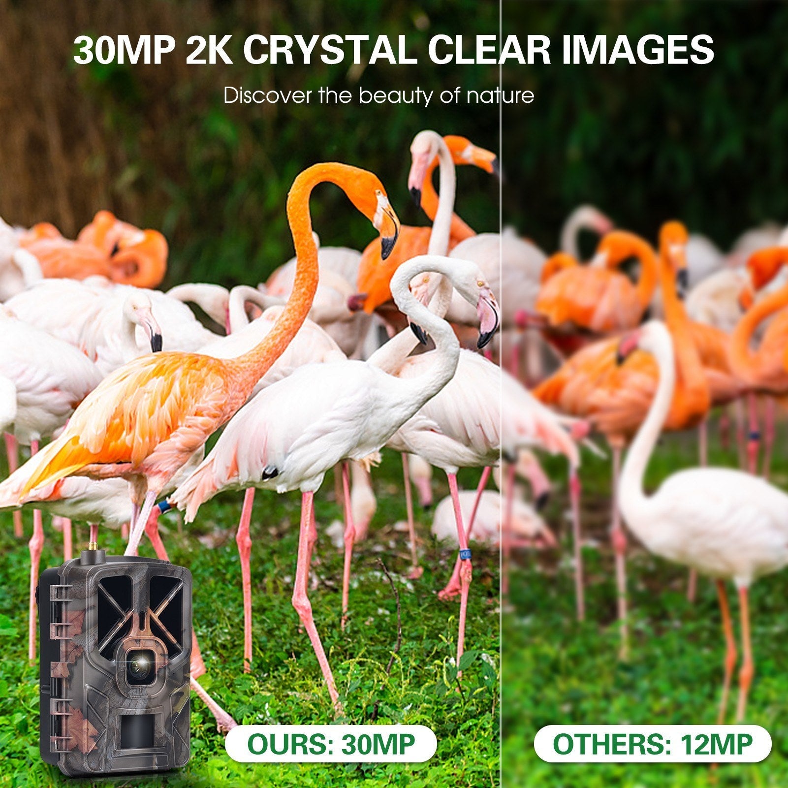 30MP 4G LTE Drahtlose Jagdkamera, 2.4 Farbdisplay, Infrarot-Nachtsicht, Outdoor-Wildtier- & Landwirtschaftssicherheit
