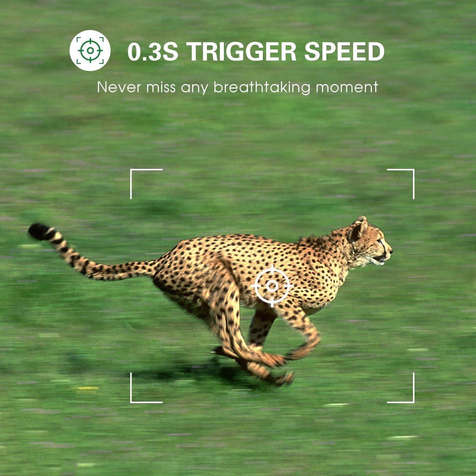 4K 36MP Dual-Lens-Wildkamera mit 2,4 TFT-Bildschirm, bewegungsaktiviert, keine Glühen Nachtsicht, für Wildtiere und Farm-Sicherheit