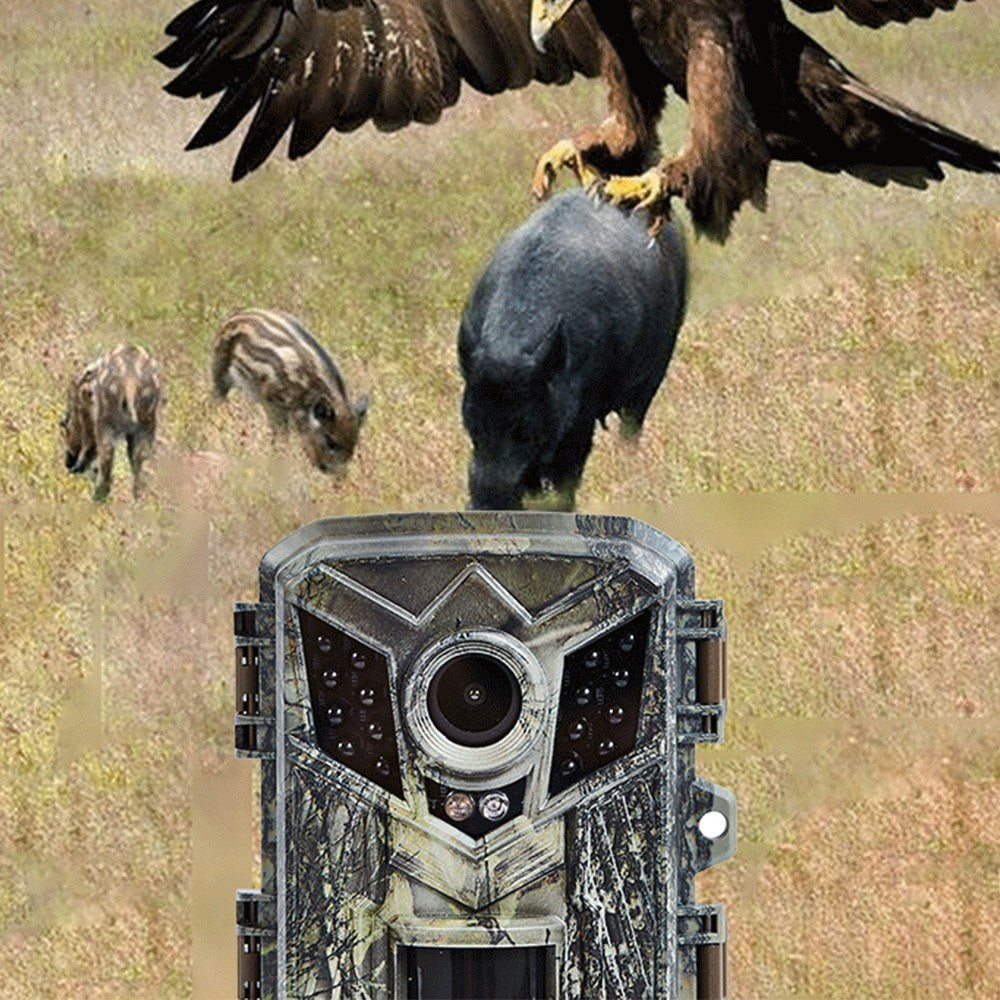 Wildlife Monitoring Trail-Kamera - IP66, 0,2s Auslösegeschwindigkeit, Nachtsicht