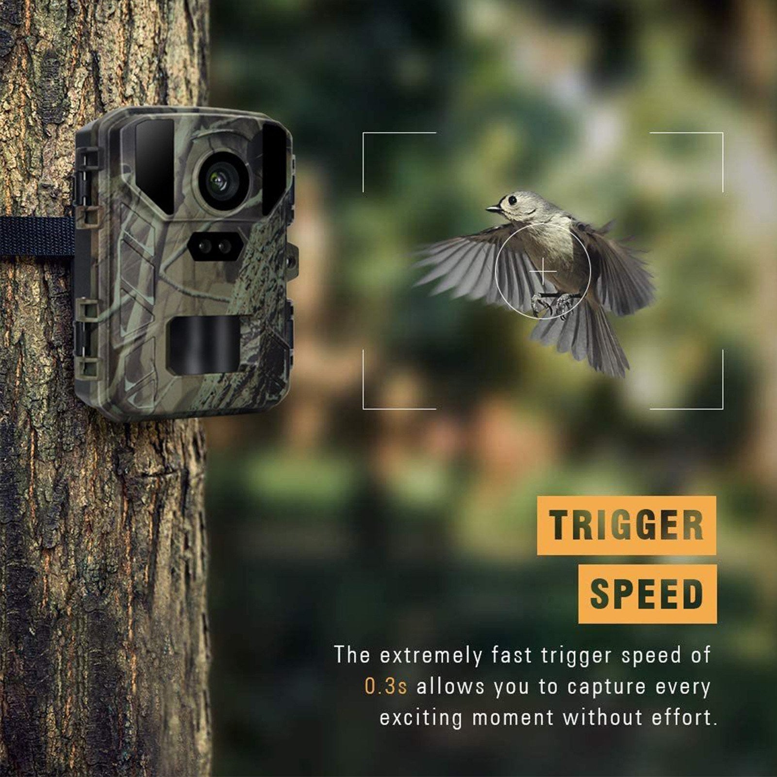 24MP Mini Trailkamera - 1080P Nachtsicht, wasserdicht, 48 IR-LEDs, 60° Erkennung für die Tierjagd