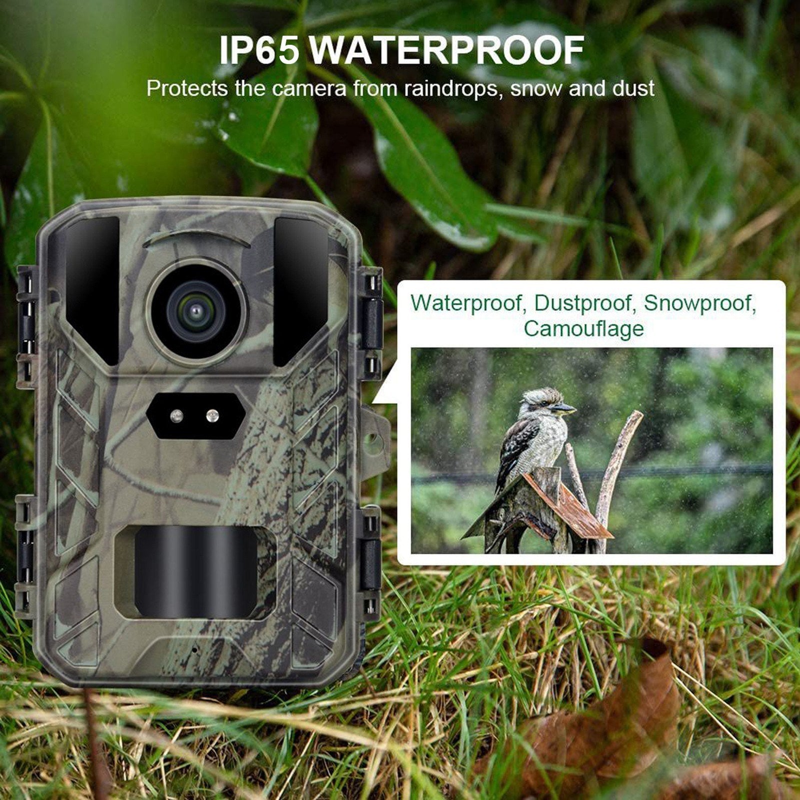24MP Mini Trailkamera - 1080P Nachtsicht, wasserdicht, 48 IR-LEDs, 60° Erkennung für die Tierjagd