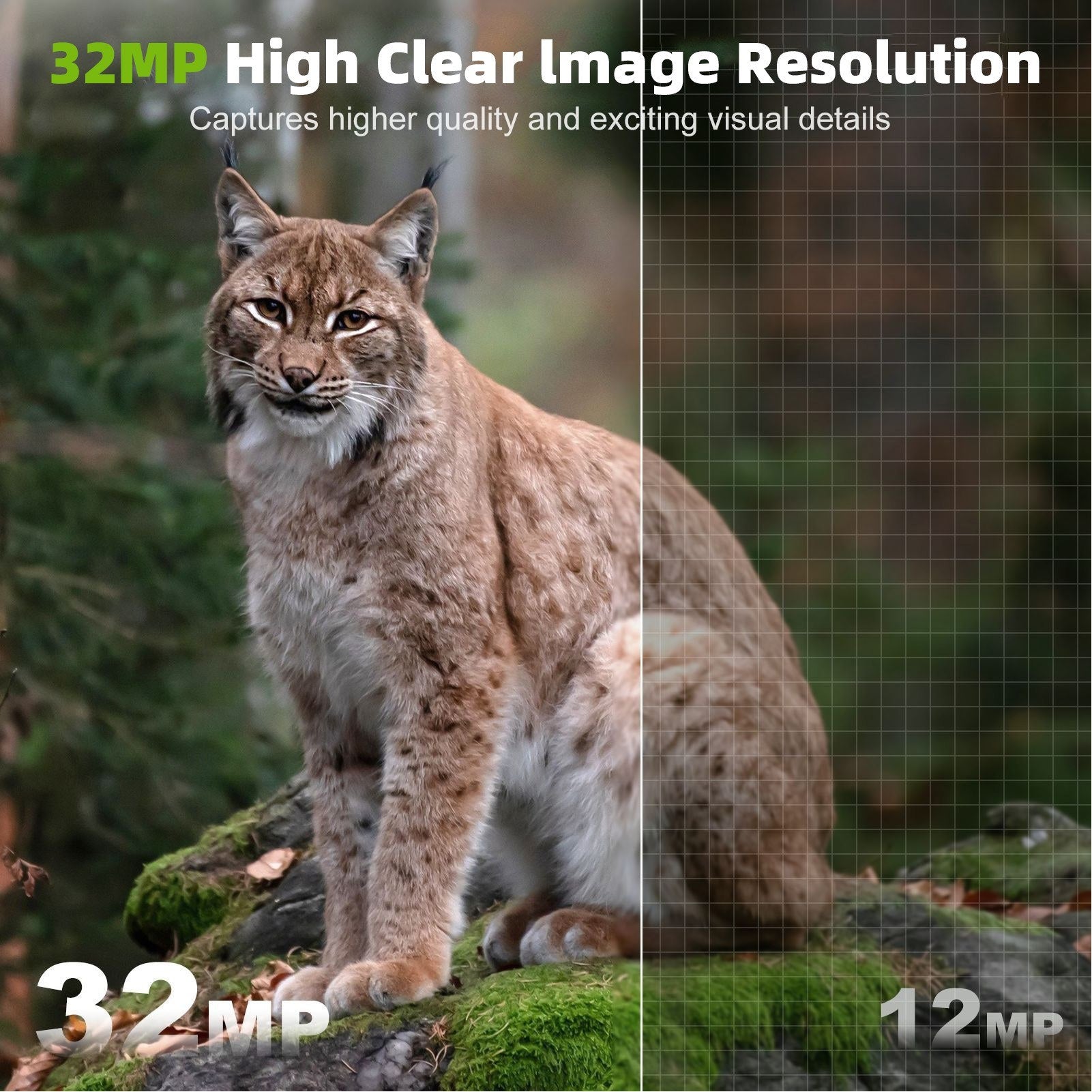 32MP Wildkamera mit Bewegungserkennung, 1080p Video, Infrarot, IP66 wasserdicht, WiFi APP Steuerung, PIR Sensor