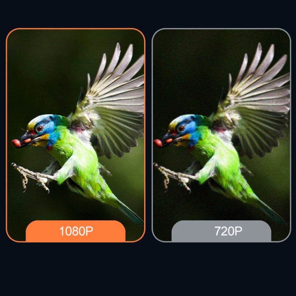 Solarbetriebene intelligente Vogelfutterkamera: 1080P Nachtsicht, KI, WLAN, Mikrofon & Lautsprecher