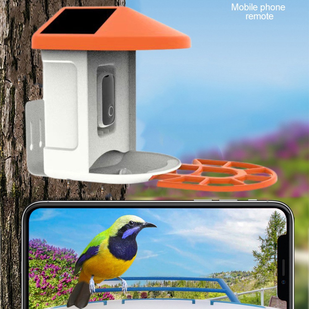 Solarbetriebene intelligente Vogelfutterkamera: 1080P Nachtsicht, KI, WLAN, Mikrofon & Lautsprecher