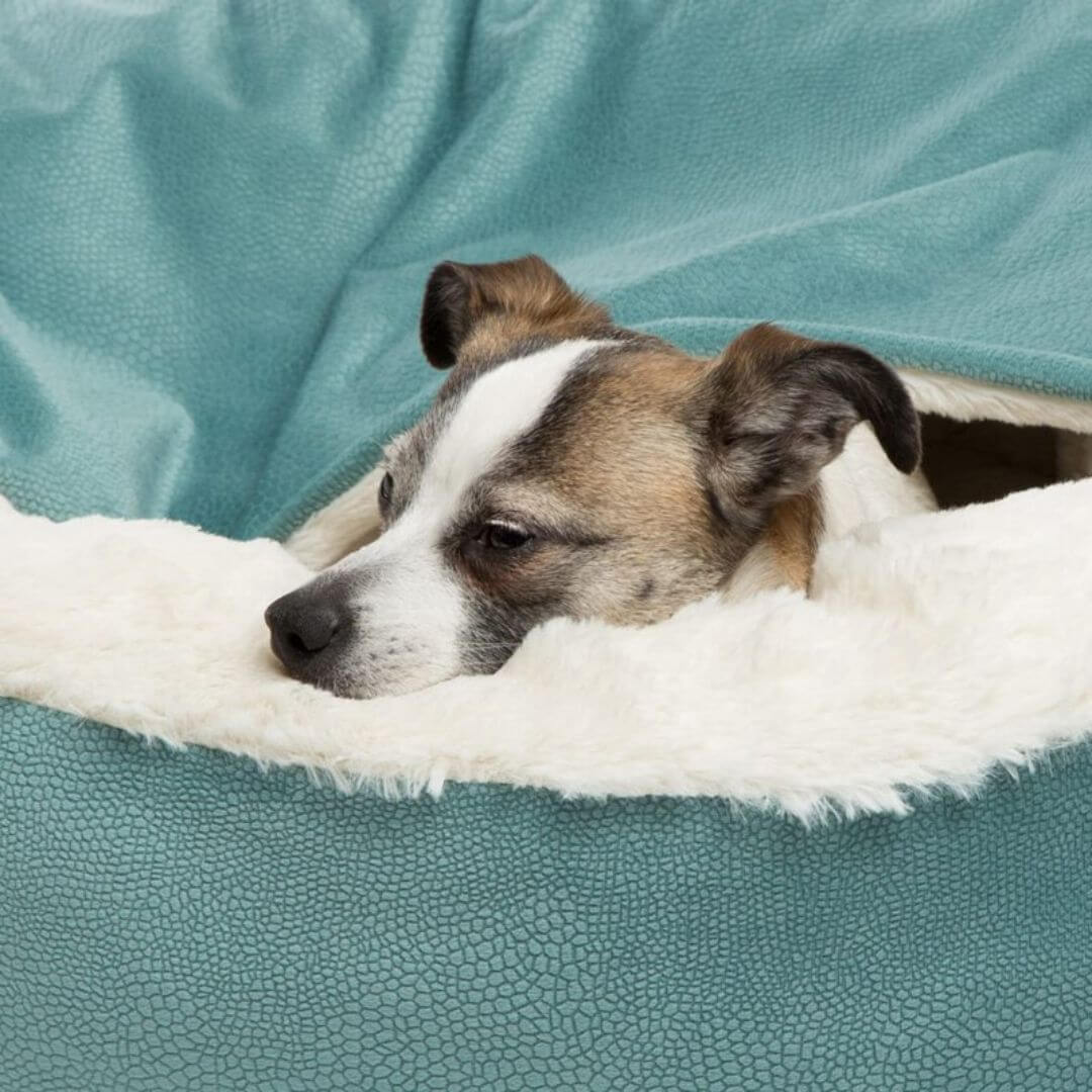 Gemütliche Hundehöhle Kuschelbett Hundebett Höhle