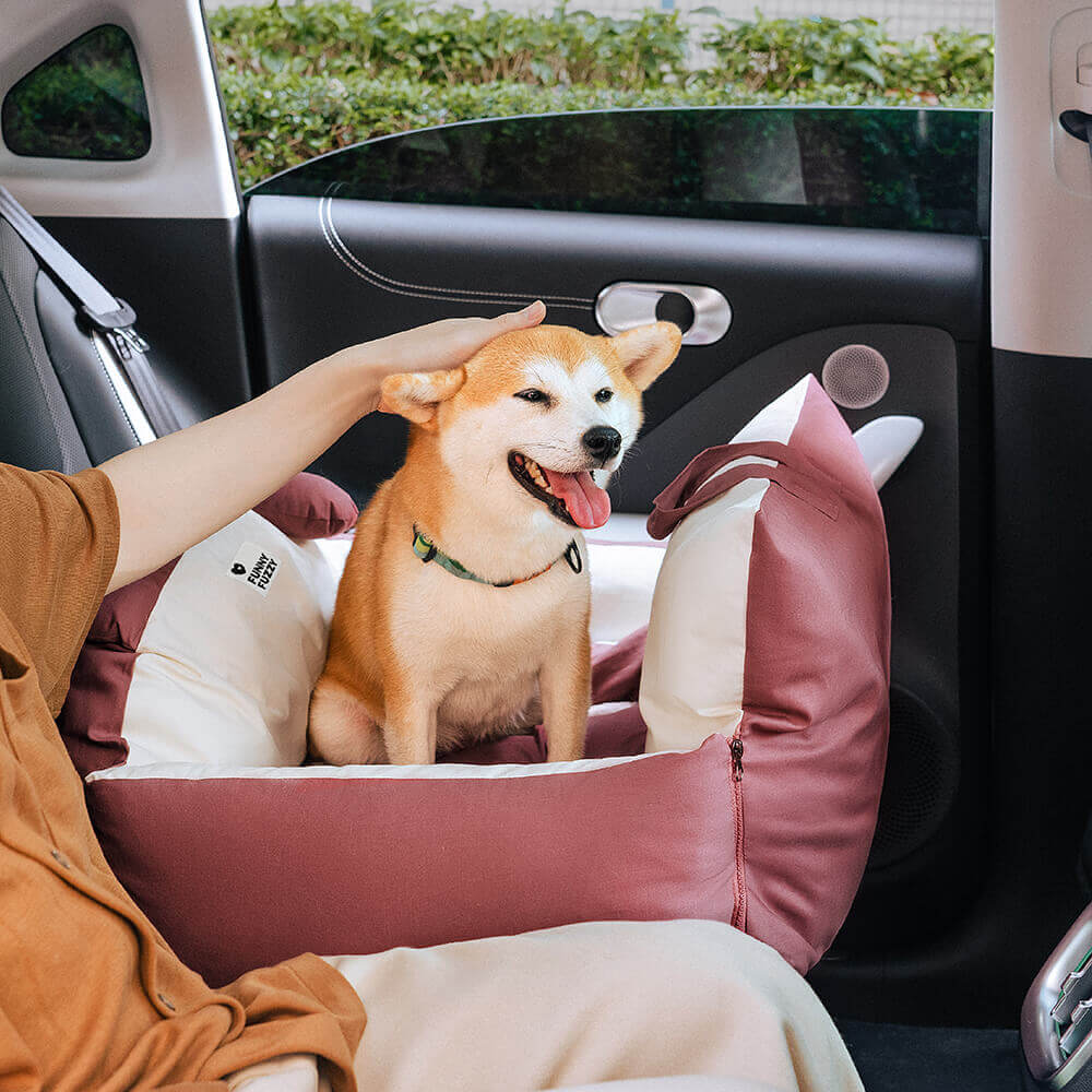 Sicheres Hunde Autobett mit Schutzkissen