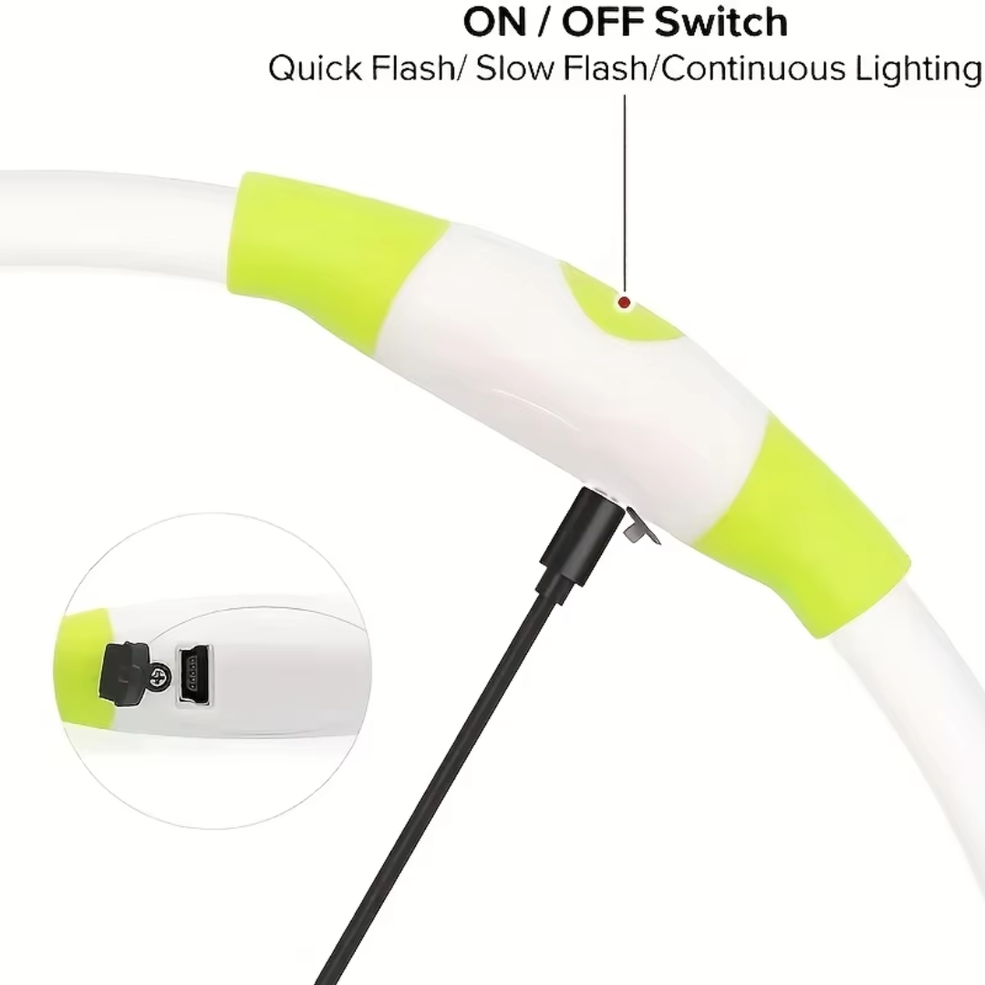 LED-Hundehalsband – Sicherheit & Komfort | USB-Licht