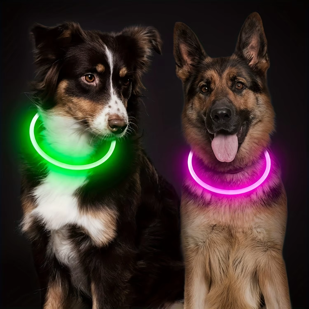 LED-Hundehalsband – Sicherheit & Komfort | USB-Licht