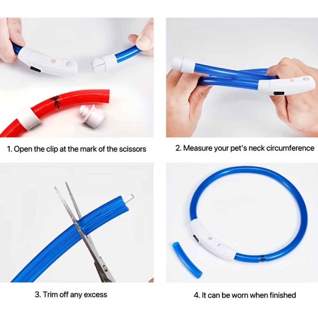 LED-Hundehalsband – Sicherheit & Komfort | USB-Licht