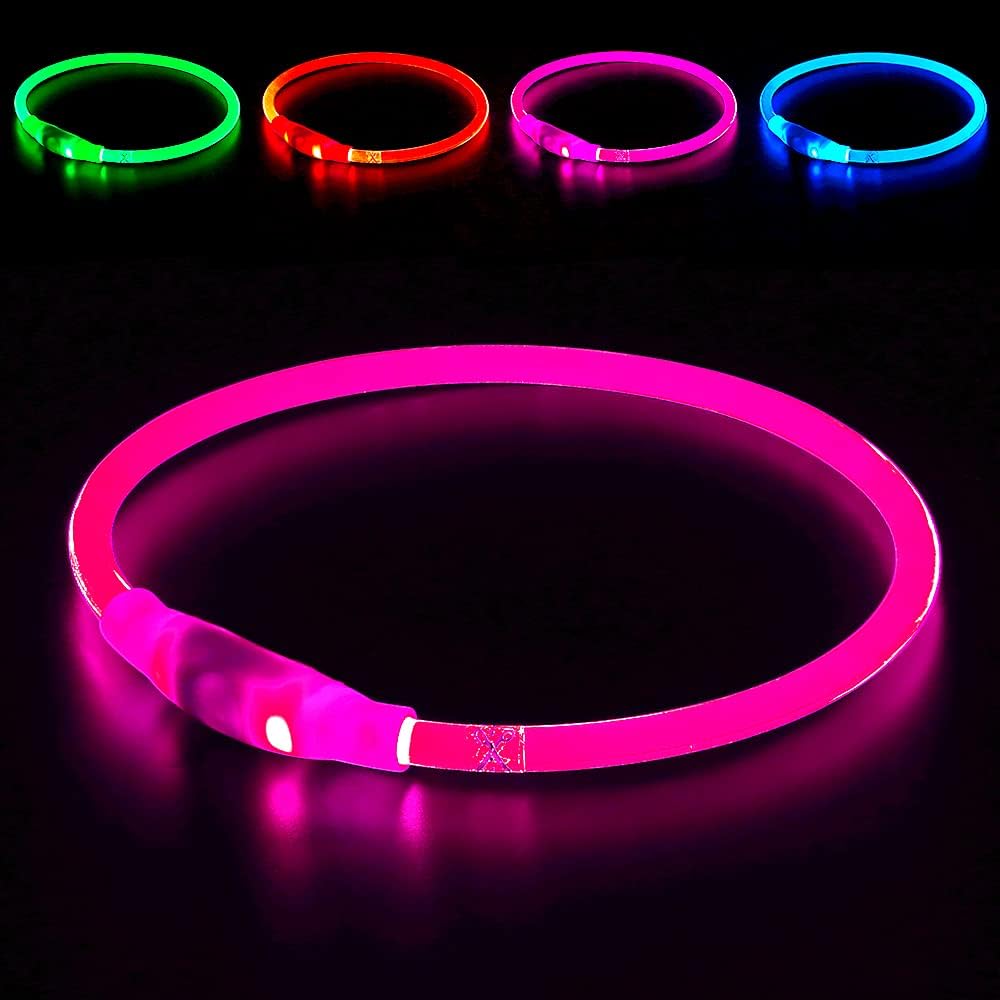 LED-Hundehalsband – Sicherheit & Komfort | USB-Licht