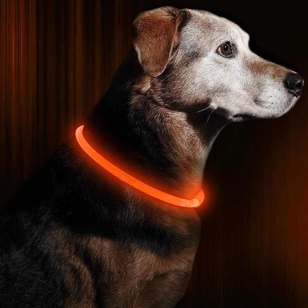 LED-Hundehalsband – Sicherheit & Komfort | USB-Licht