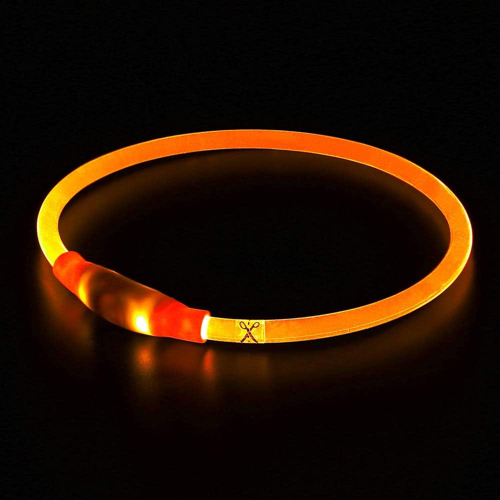 LED-Hundehalsband – Sicherheit & Komfort | USB-Licht
