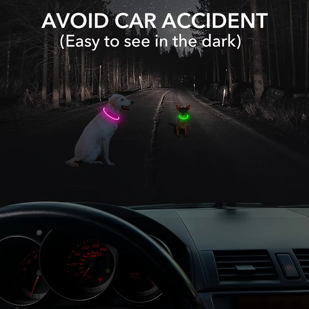 LED-Hundehalsband – Sicherheit & Komfort | USB-Licht