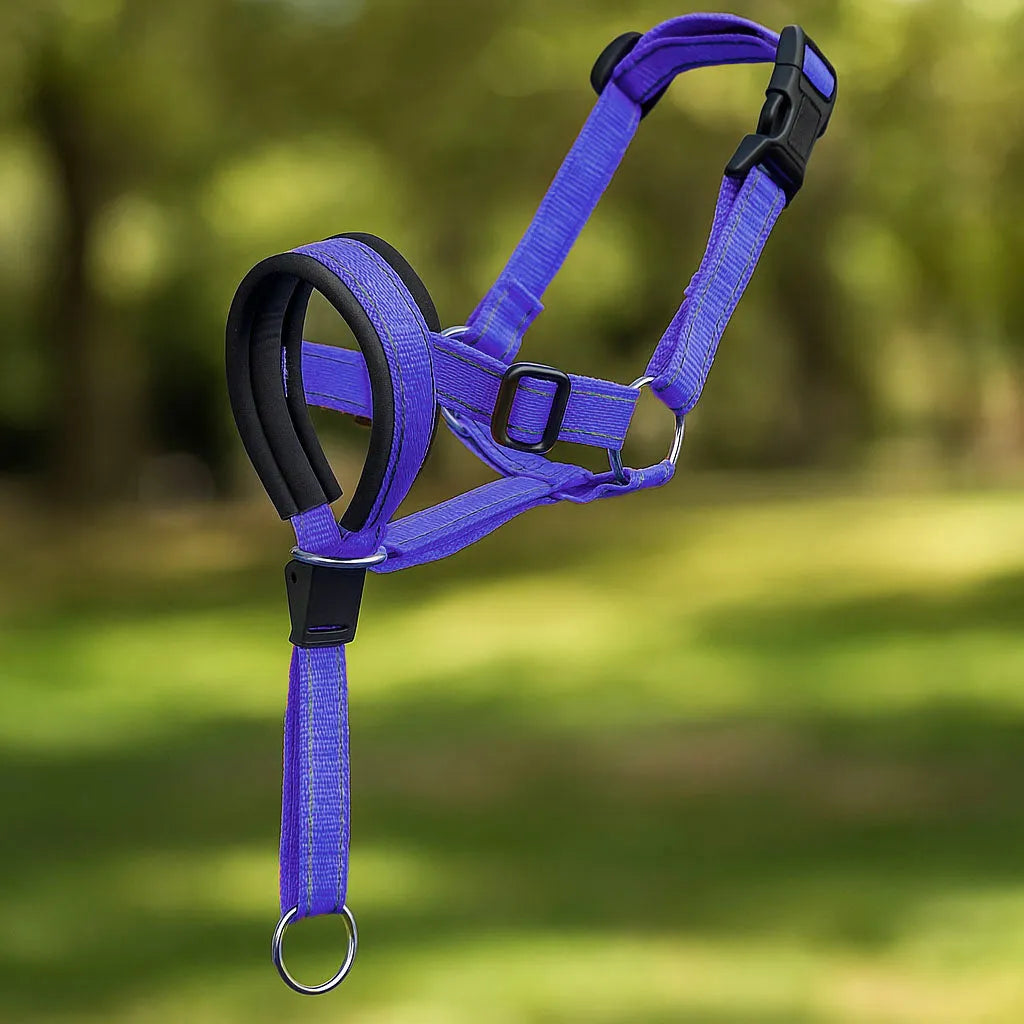 Hundehalfter gegen Ziehen – Verstellbar mit Leine für Gassi gehen