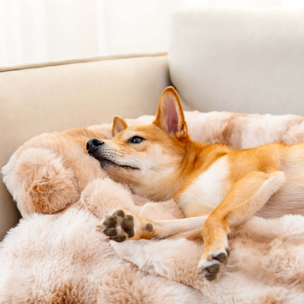 Kuscheliges Hundebett Sofa-Schutzdecke PlushNest