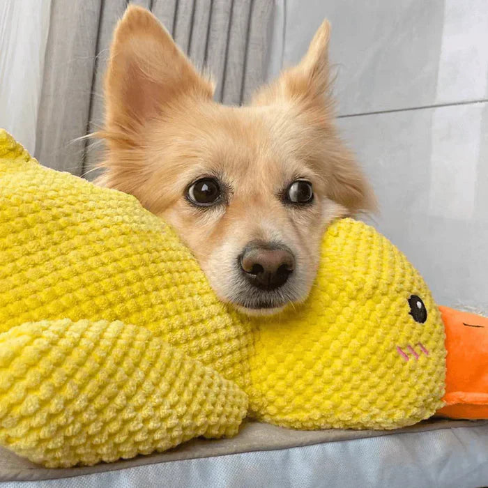 PowerDuck – Unzerstörbares Quietschspielzeug für starke Hunde