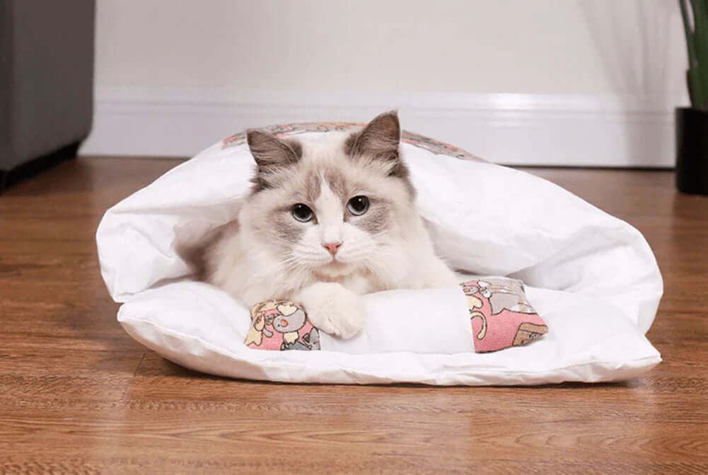 Kuscheliger Katzenschlafsack für wohlige Nächte