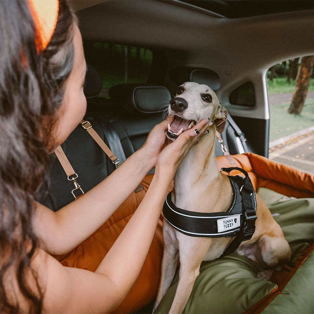 Kunstleder Hunde Autositz Bett - Komfort & Sicherheit