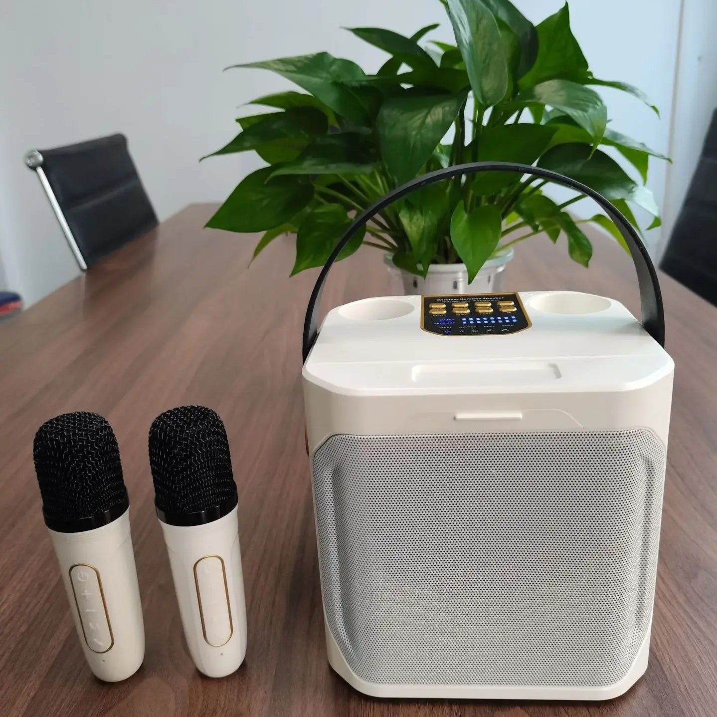 Hochleistungs tragbarer Bluetooth Karaoke Lautsprecher mit wiederaufladbarem Akku für den Innen- und Außenbereich