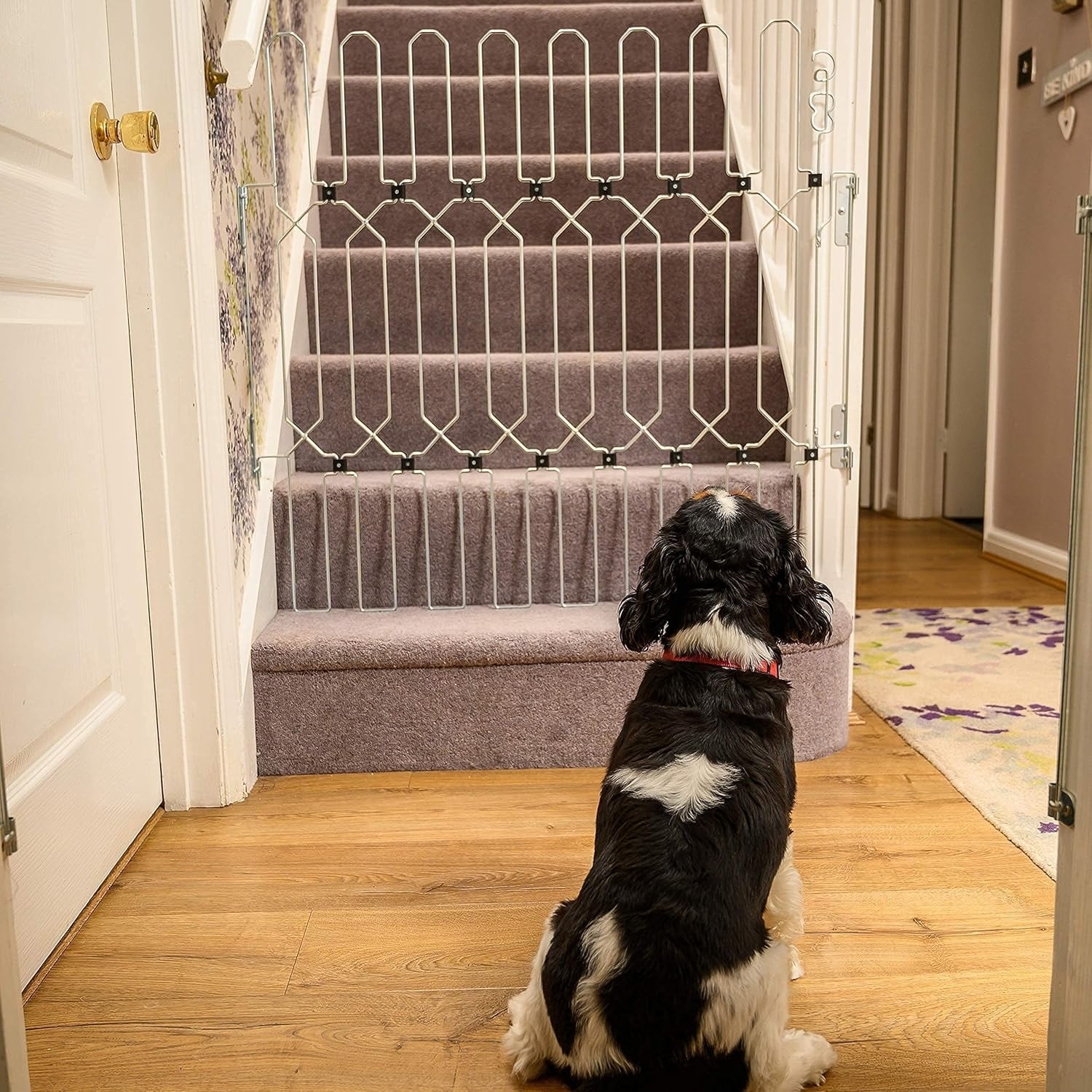 Hundegitter für Wohnung | Hundeschutzgitter Tür | Für Große & Kleine Hunde | TierTor