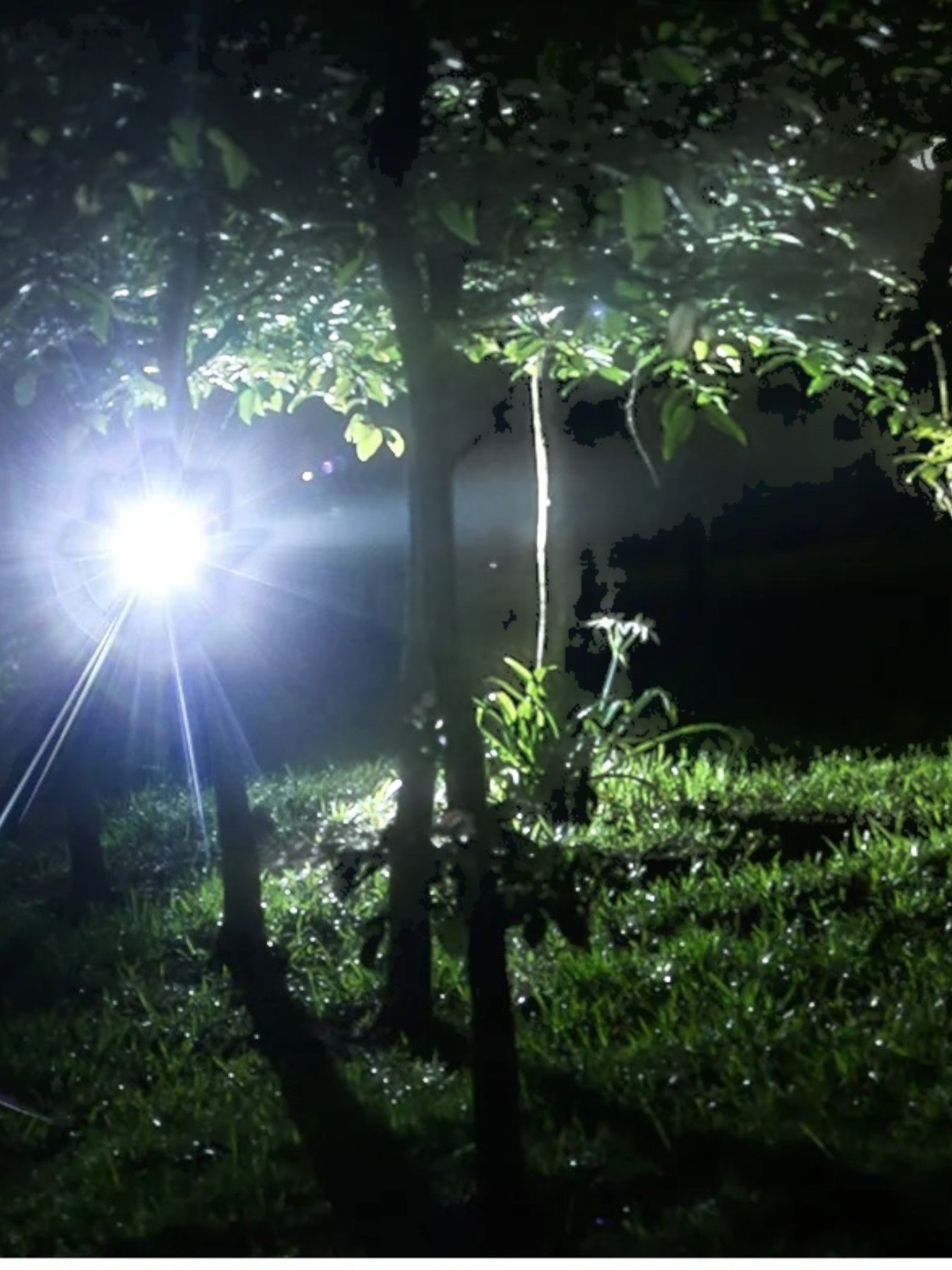 LED Stirnlampe Wiederaufladbar – Leistungsstark, Wasserdicht und Langlebig – PowerBeam