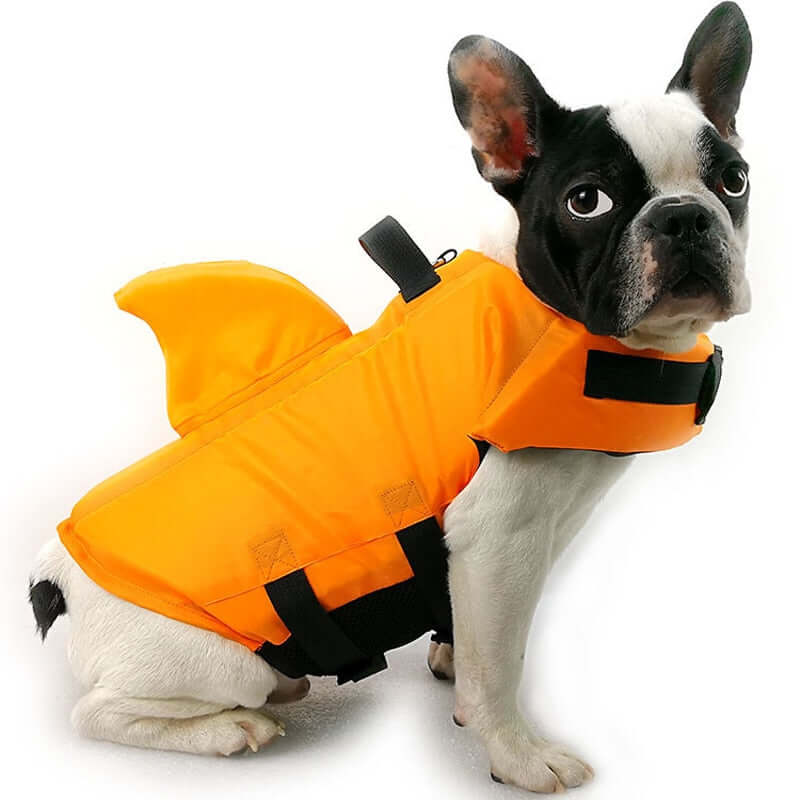 Schwimmweste für Hunde - Sicher & Komfortabel
