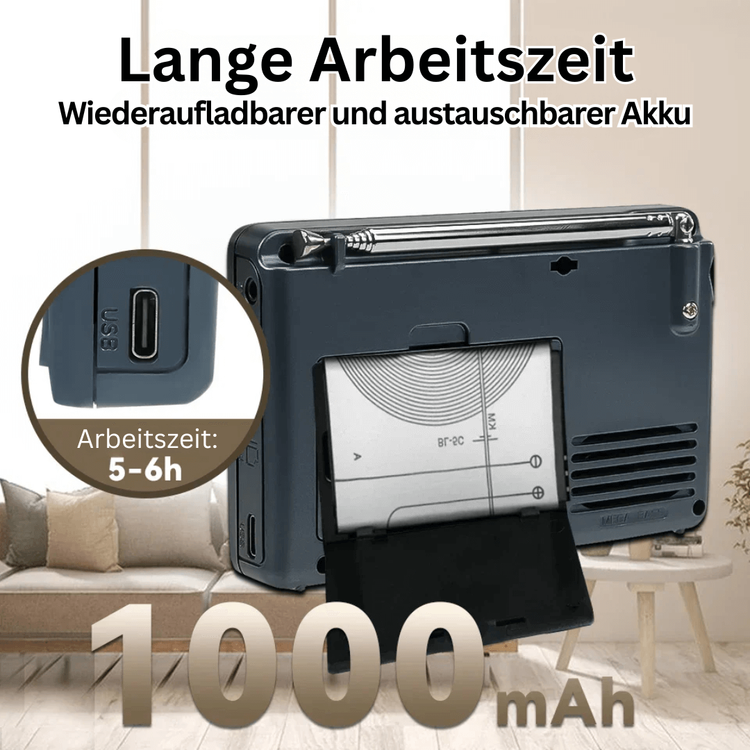 Zelara Multiband-Radio mit Aufnahmefunktion