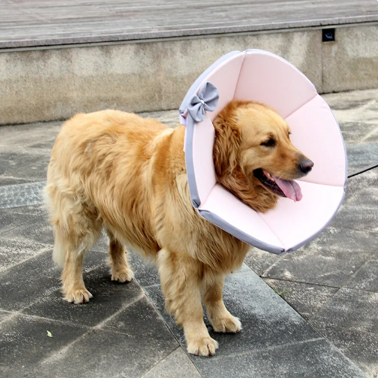 Schutzkragen für Hunde - Komfort und Stil nach OP | Gelb-Braun