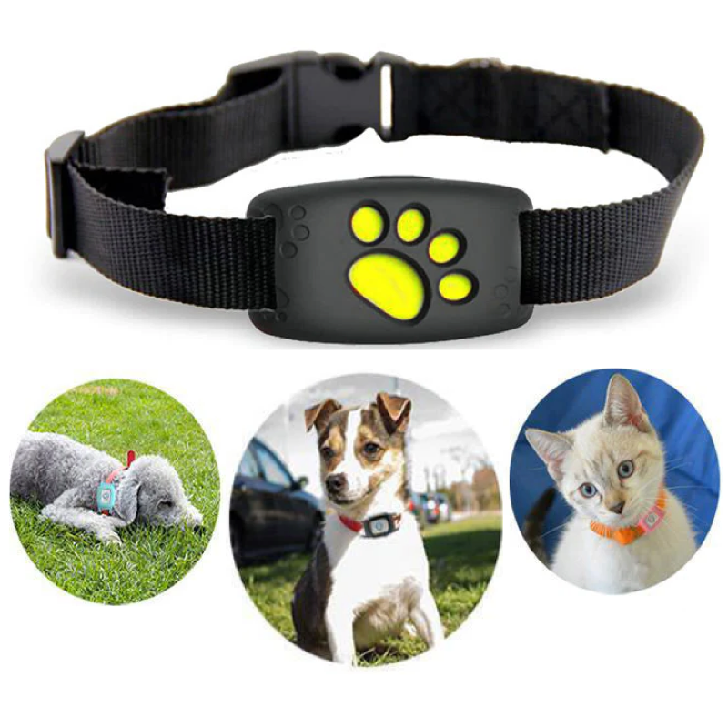GPS Katzenhalsband mit Echtzeit-Tracking & Sicherheit