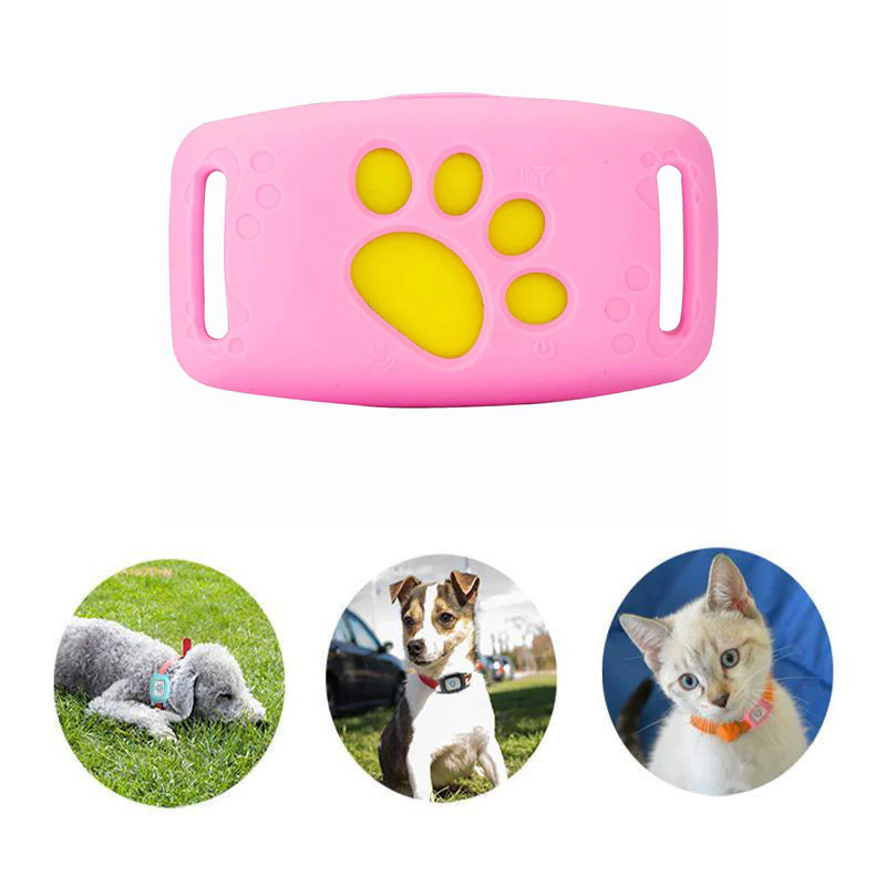 GPS Katzenhalsband mit Echtzeit-Tracking & Sicherheit