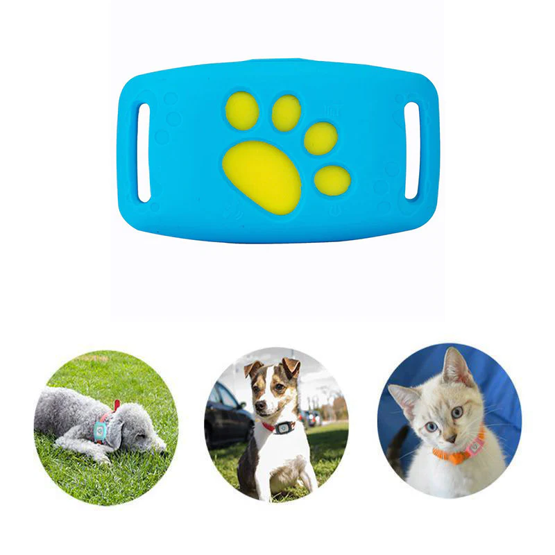 GPS Katzenhalsband mit Echtzeit-Tracking & Sicherheit