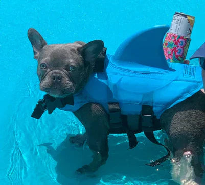 Schwimmweste für Hunde - Sicherheit und Komfort | Verstellbar
