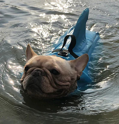 Schwimmweste für Hunde - Sicherheit und Komfort | Verstellbar