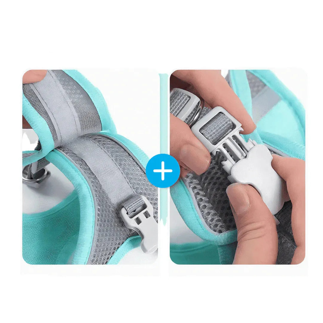 Katzengeschirr mit Leine | Bequem & sicher für Spaziergänge