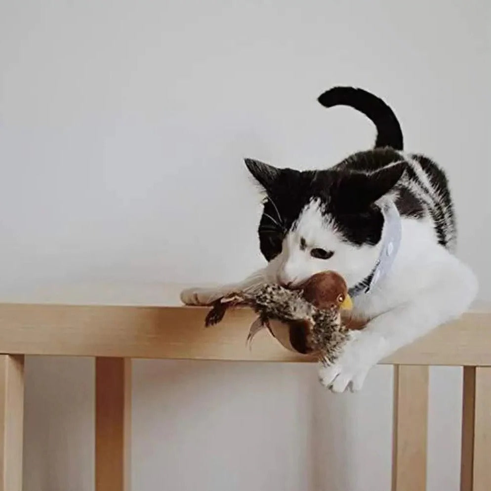 Interaktive Geräusch Vogel Katzenspielzeug - Flatternde Feder Unterhaltung für Wohnungskatzen