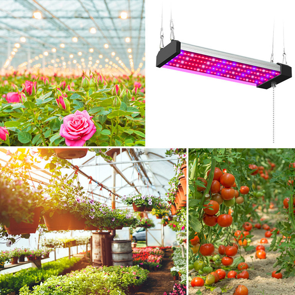 LED Pflanzenlampe - Vollspektrum - Zugschalter | Pflanzenwachstum