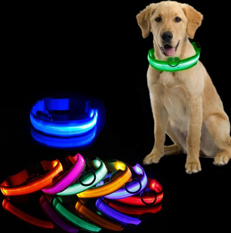 LED Hundehalsband - Sicherheit & Style für Nachtausflüge