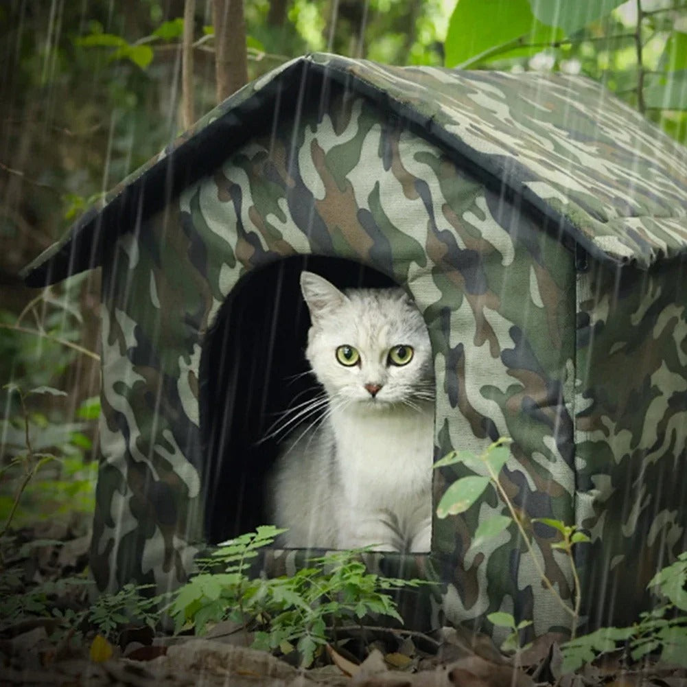Nische für Katze im Freien Winter