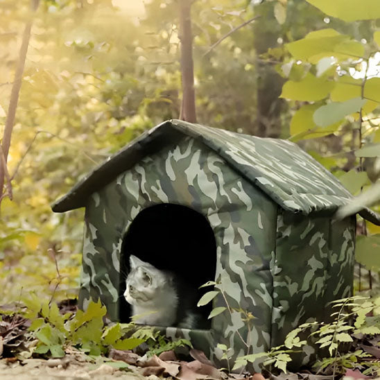 Nische für Katze im Freien Winter