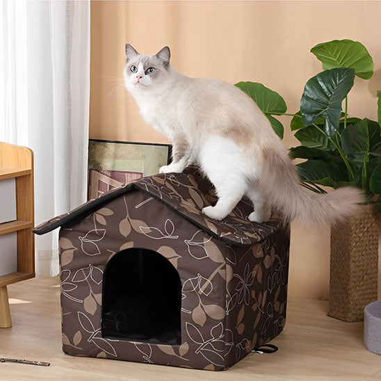 Nische für Katze im Freien Winter
