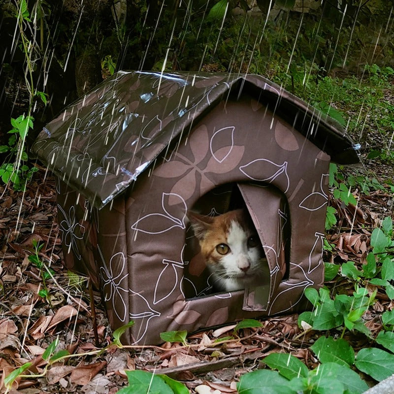 Nische für Katze im Freien Winter