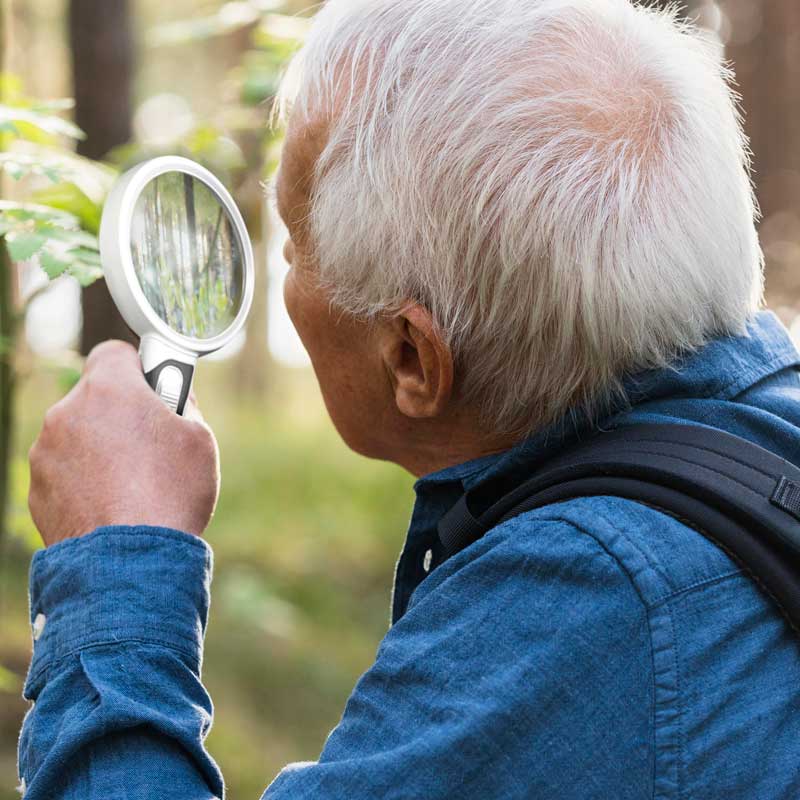 Optisches Vergrößerungsglas